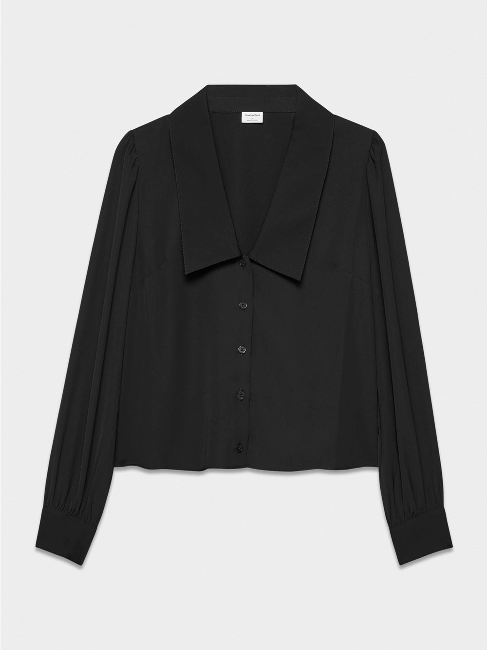 Sunday Best Black Button-Front Blouse with Pointed Collar